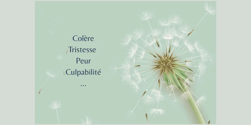 emotions-rayonner-violences-femmes-boltibetains-sophrologie-reims