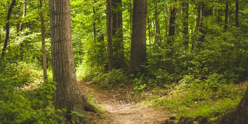 sophrologue-reims-traumatisme-femmes-ancrage-securite-bienetre
